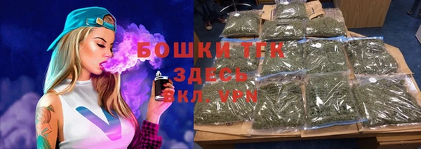 индика Зеленодольск